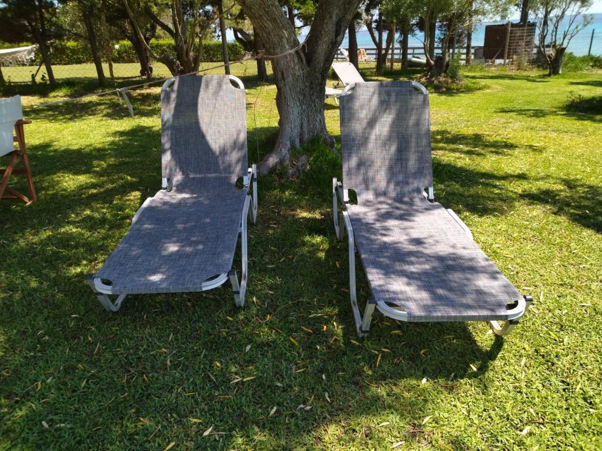 הוילה ניאה סקיוני Seaside House מראה חיצוני תמונה
